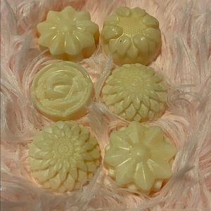 Apple Cidar Wax Melts